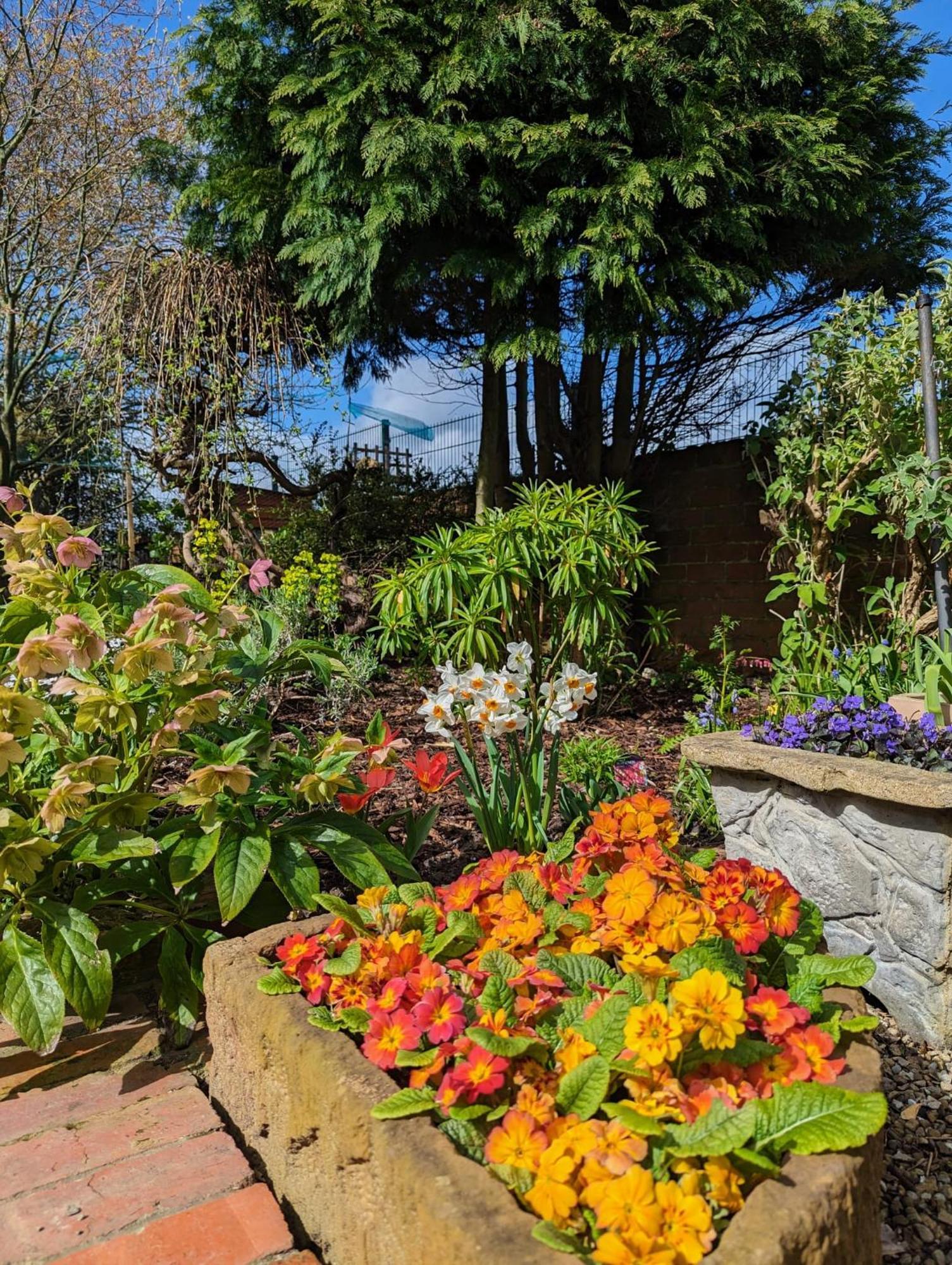 Bed and Breakfast Number 18 Whitby Exterior foto